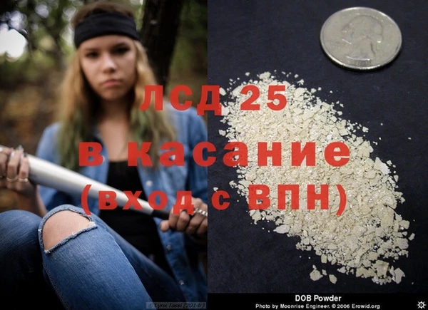 ГАЛЛЮЦИНОГЕННЫЕ ГРИБЫ Алзамай