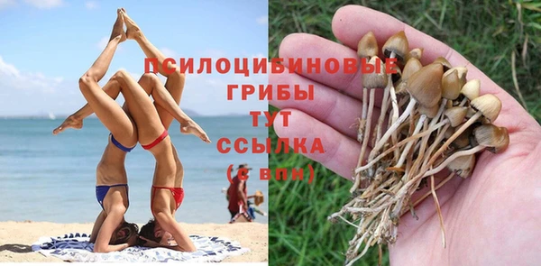 спайс Армянск